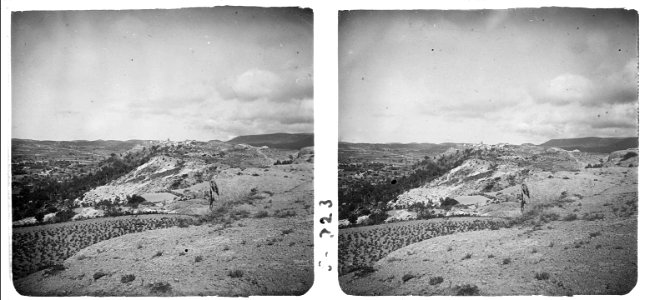 Vista des de la font d ' Albarca