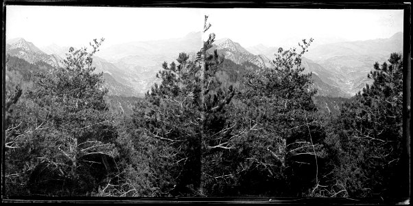 Vista des del Santuari de Nostra Senyora dels Tossals