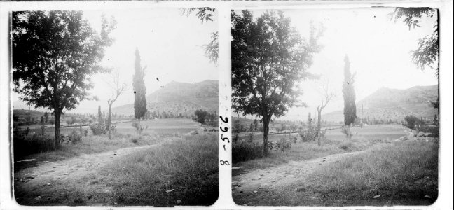 Vista del Pla de Nostra Senyora d ' Artesa de Segre