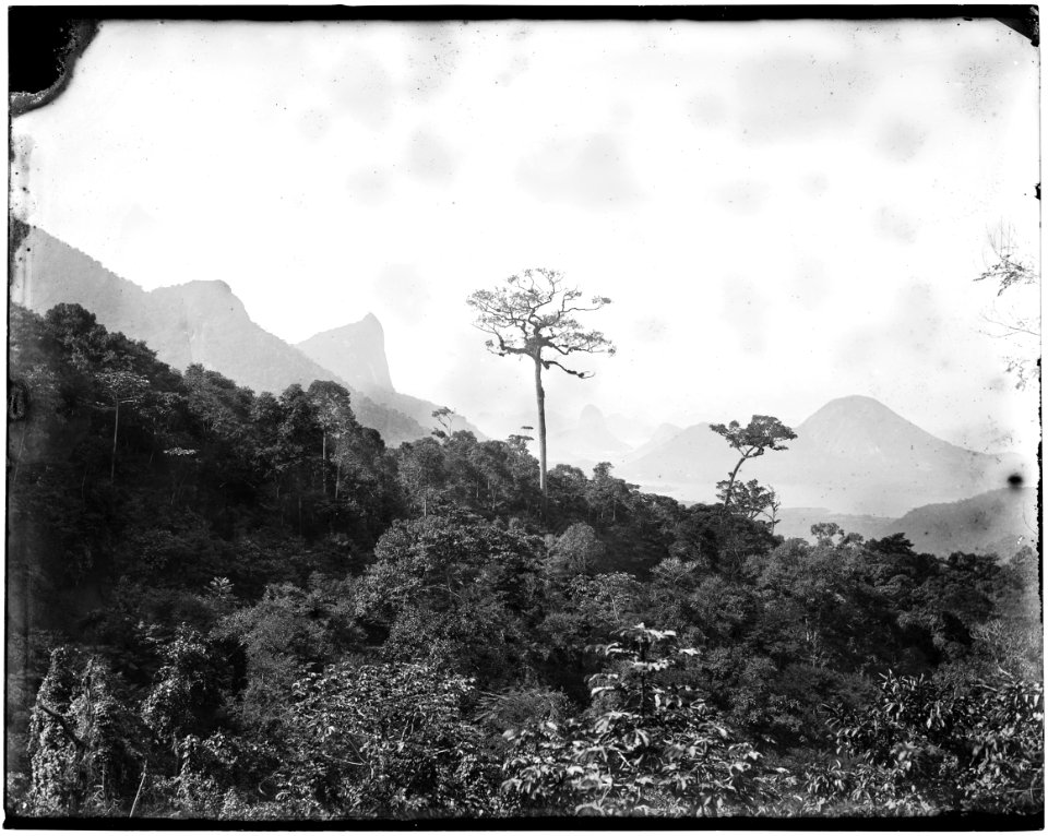 Vista do Corcovado e Pão de Açúcar