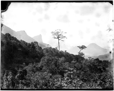 Vista do Corcovado e Pão de Açúcar