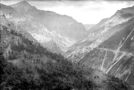 Vista del Torreneules i la Vall de Freser (AFCEC RIBASV D 4804)