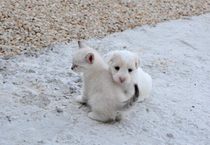Hug tenderness complicity
