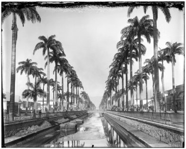 Vista do Canal do Mangue - 3