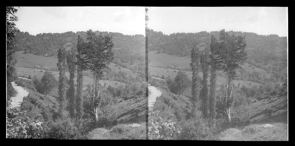 Vista des del Platraver amb arbres i vista del riu