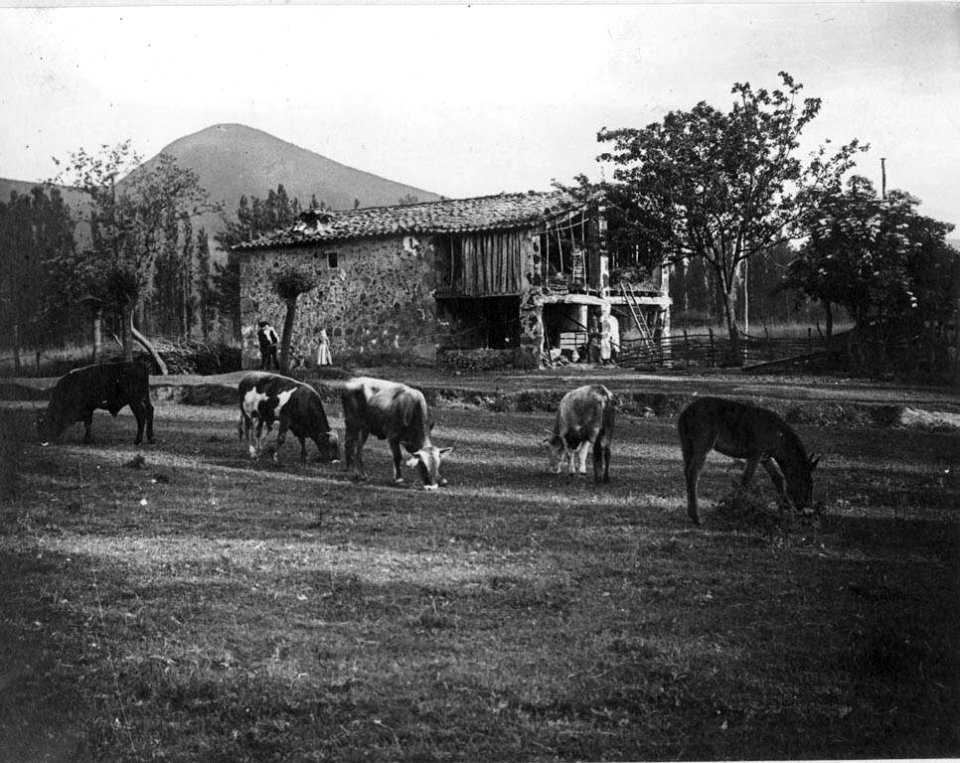 Vista general d'una masia i bestiar a Sant Privat d'en Bas