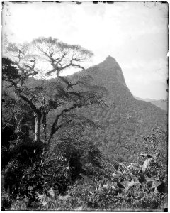 Vista do Corcovado - 4