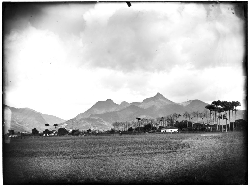 Vista do Pico da Tijuca
