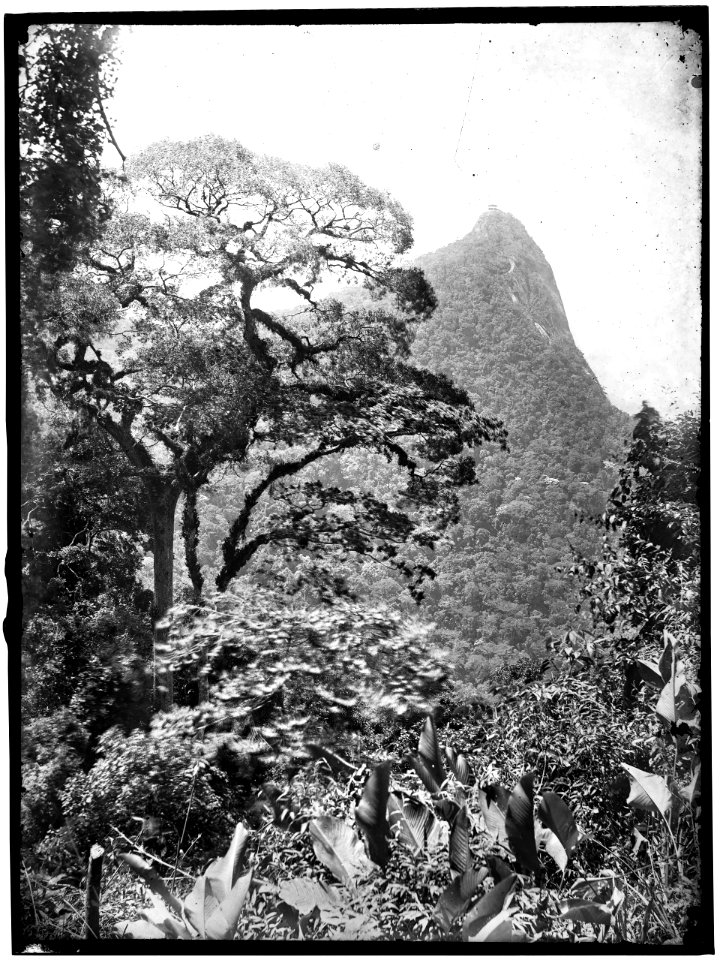 Vista do Corcovado - 6