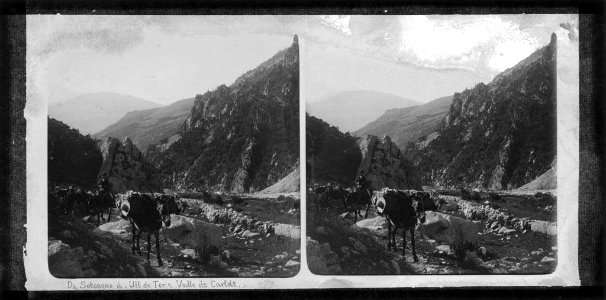 Vista general de la vall de Carlat i camí de Setcases a Ulldeter amb ases i un home