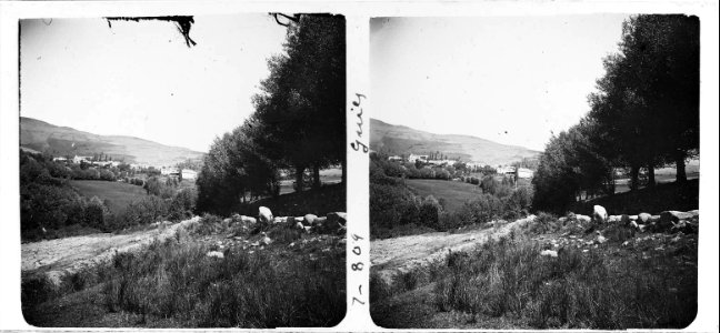 Vista general de Guils de Cerdanya (SaP 809 07)