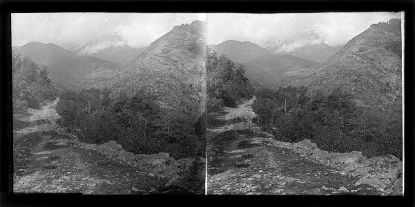 Vista general de la vall d'Espot amb un camí