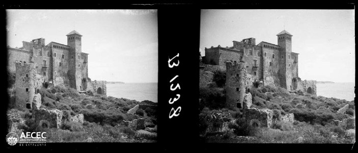 Vista general del castell de Tamarit