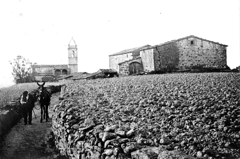 Vista general de Sant Andreu de Linya, en primer terme un camí amb un home i un ruc