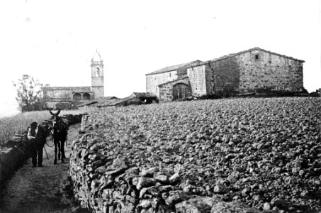 Vista general de Sant Andreu de Linya, en primer terme un camí amb un home i un ruc