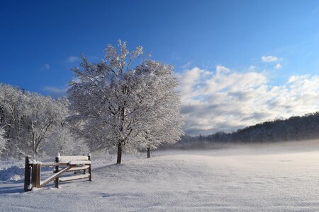 Cold frost nature