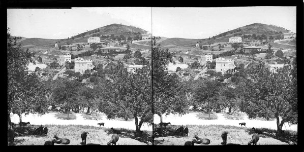 Vista general de Vallcarca , en primer terme un ramat de cabres