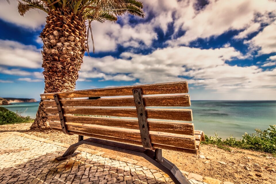 Seashore nature sky