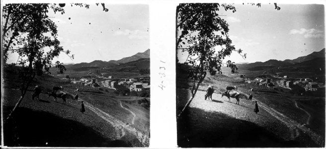 Vista parcial de Sant Joan de les Abadesses