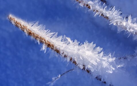 Cold ice crystals photo