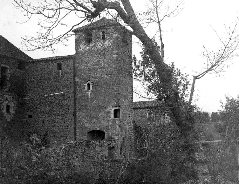 Vista parcial del Castell de Cartellà i la torre