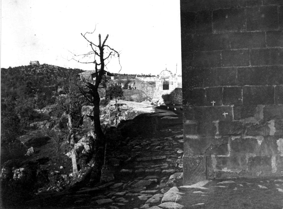 Vista parcial de Santa Maria de Llanera (AFCEC EMC X 6609)