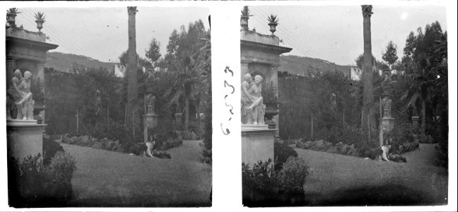 Vista parcial del jardí d ' una casa