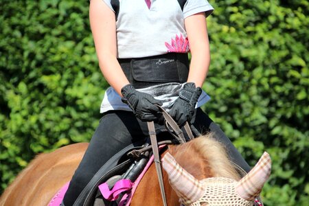 Ride reins saddle