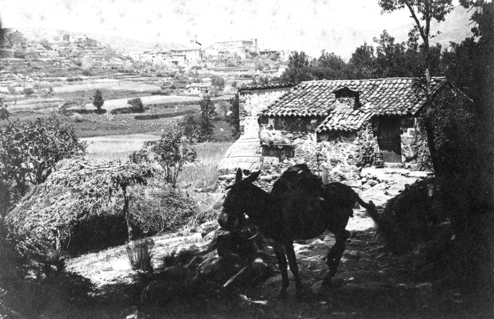 Vista parcial del Santuari dels Arcs, en primer terme un ruc, al fons Santa Pau