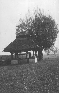 Vodnjak (3)