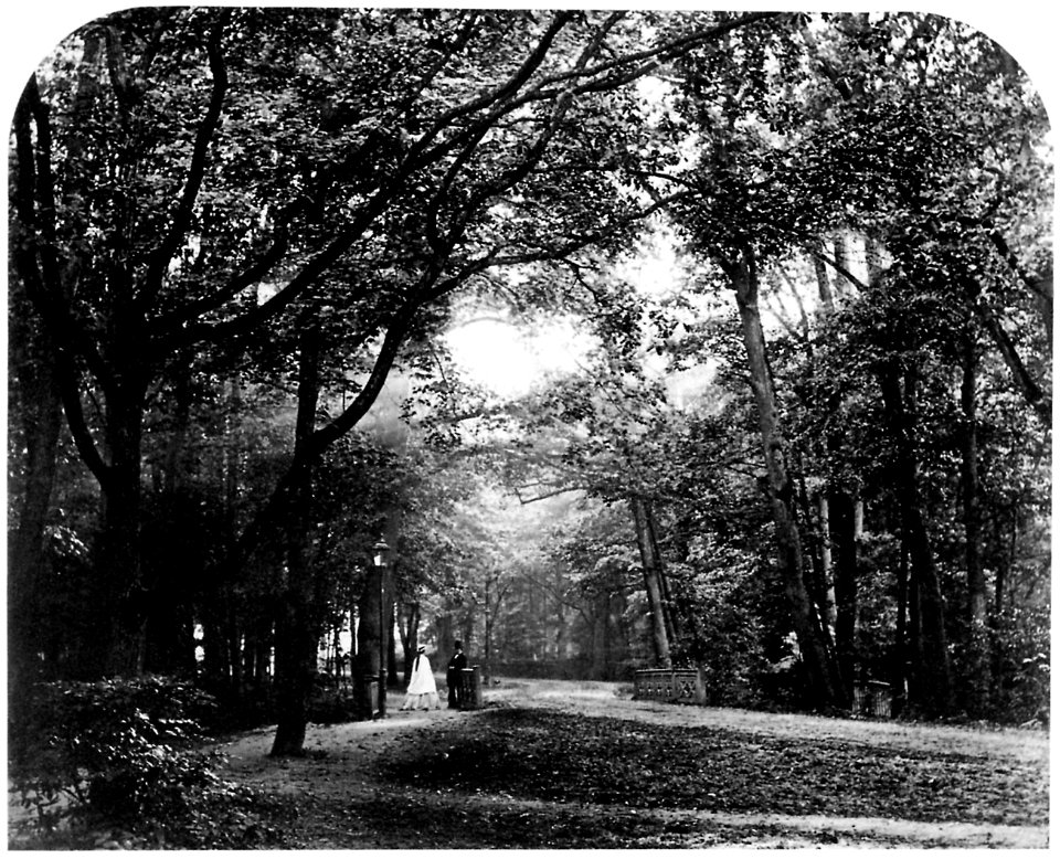 Vogel, Hermann Wilhelm - »Abend«, aus der Mappe »Bilder aus dem Tiergarten«, Berlin (Zeno Fotografie)