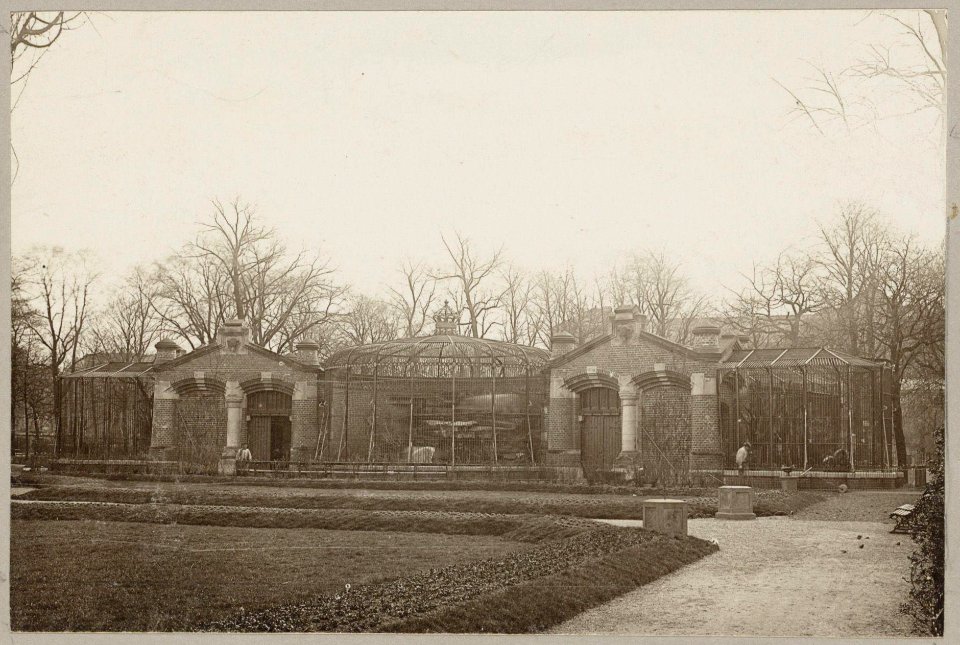 Vogt, August F.W. (1871-1922), Afb 000395000526