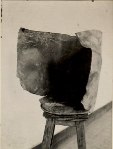 Volltreffer in die 42 cm Patronenhülse. (BildID 15479319)