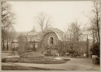 Vogt, August F.W. (1871-1922), Afb 000395000529