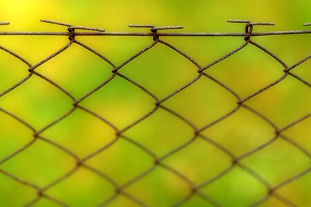 Web pattern barbed wire photo