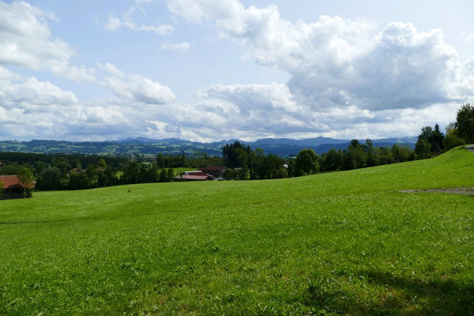 Nature idyll summer