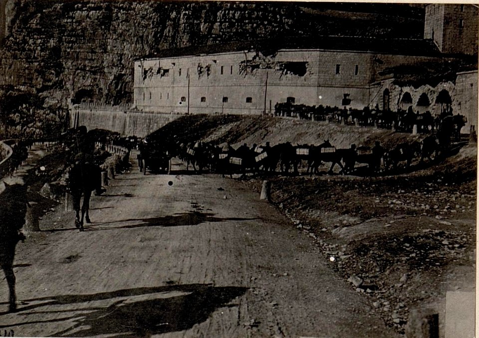 Vom Feinde zerstörtes Sperrfort oberhalb Primolano. Munitionstransport mittels Tragtieren, (BildID 15635318)