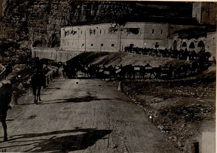 Vom Feinde zerstörtes Sperrfort oberhalb Primolano. Munitionstransport mittels Tragtieren, (BildID 15635318)