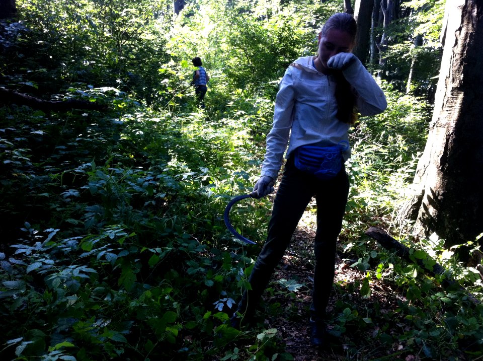 Volunteerism and Community Service in Ukraine Photo Contest, Sept-Nov, 2013 (10959010976)