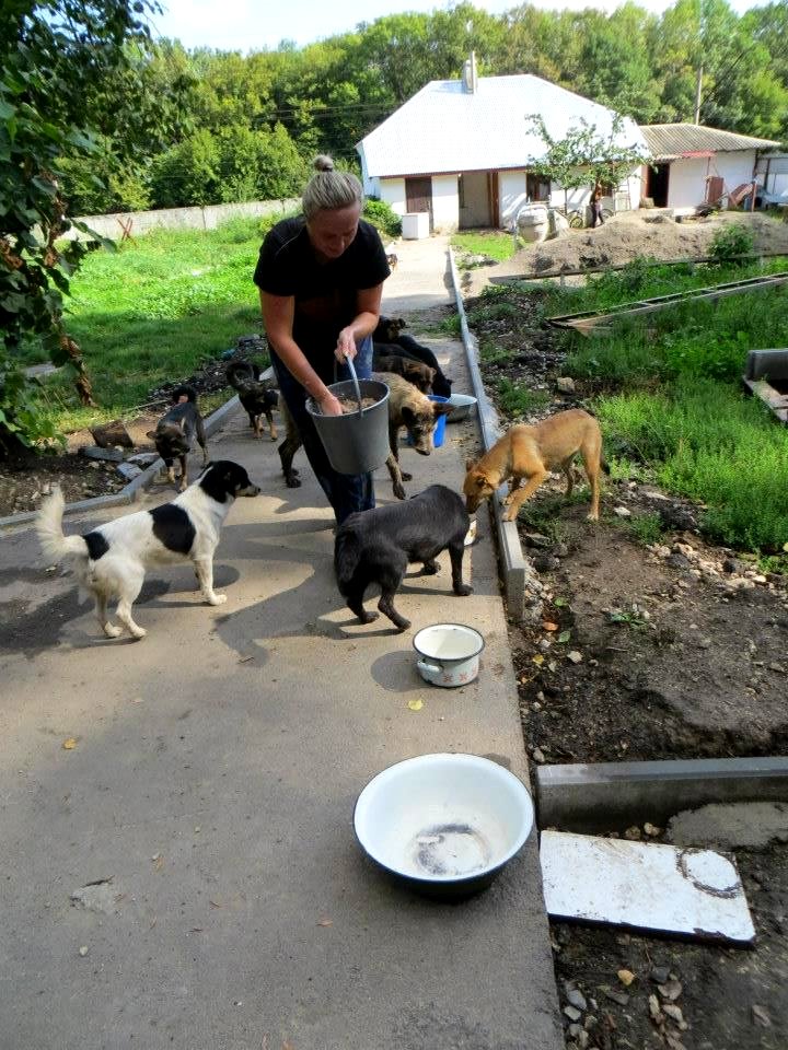 Volunteerism and Community Service in Ukraine Photo Contest, Sept-Nov, 2013 (10959008776)