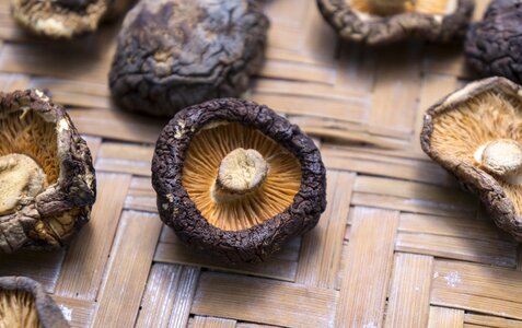 Shiitake mushrooms dried mẹc bamboo photo