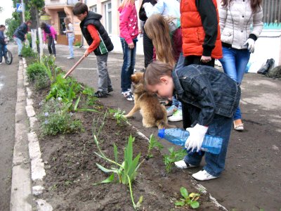 Volunteerism and Community Service in Ukraine Photo Contest, Sept-Nov, 2013 (11416369566)