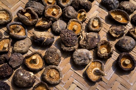 Shiitake mushrooms dried mẹc bamboo