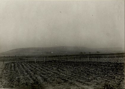 Vom Schützengraben bei Sobovice in der Richtung auf die Höhe Skowrono (zerachoss.M.H.an der Nida) Gefechtsabschnitt der poln.Legion. (BildID 15540272)