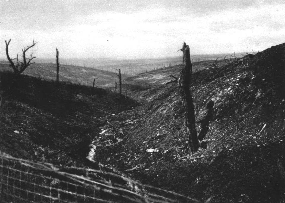 Vom Taures-Wald (nörtlich von Douaumont) zeugen nurmehr wenige Baumstümpfe