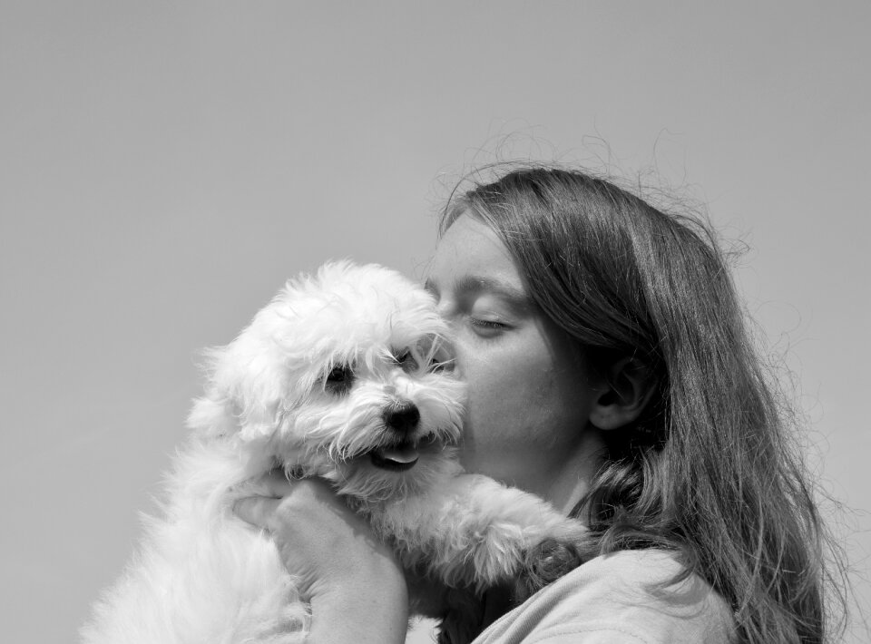 Dog girl young woman