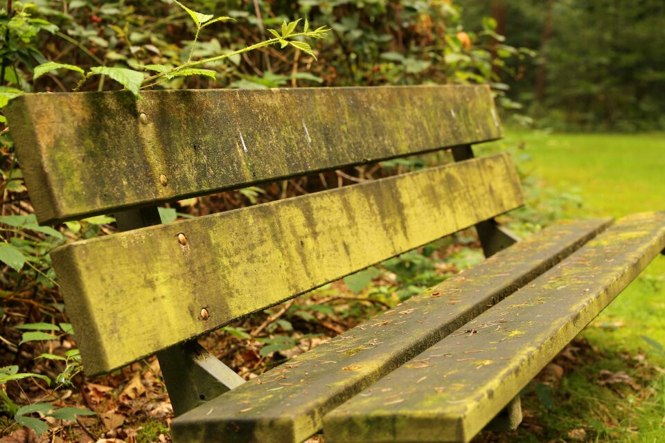 Bank green outdoors