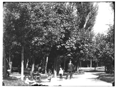 Vondelpark, Jongens Olie, 1894-08 (max res) photo