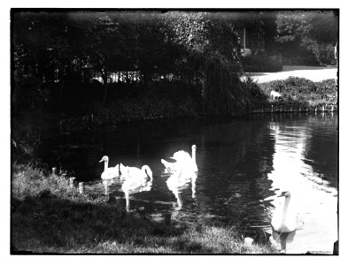 Vondelpark, foto 68 Jacob Olie (max res)