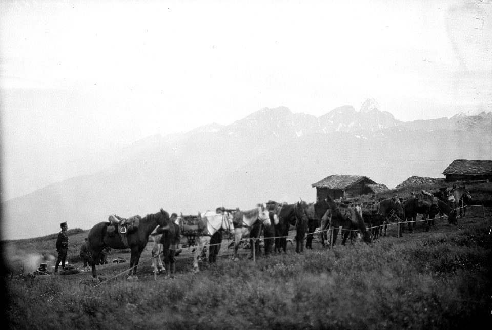Vorbereitungen der Saumkolonne - CH-BAR - 3236937